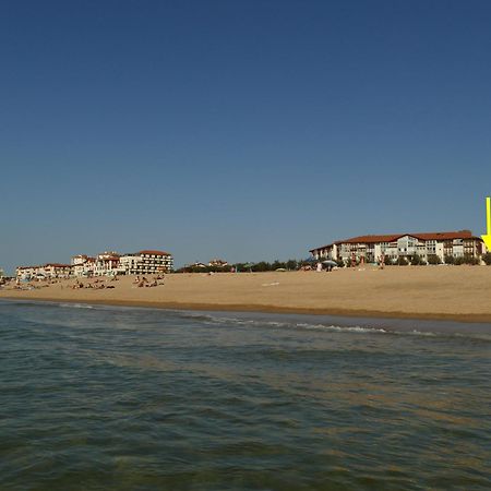La Dune D'Or - Vue Mer, Studio Face A La Plage Avec Terrasse Soorts-Hossegor Exterior foto